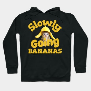 Slowly Going Bananas Kitten Hoodie